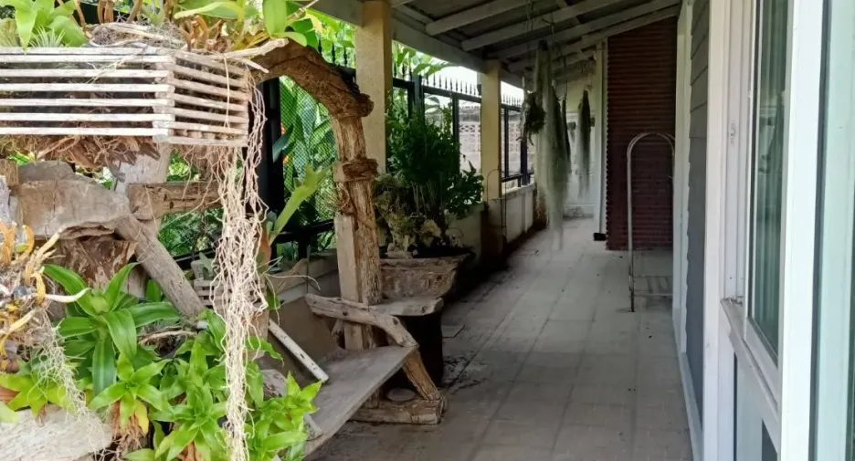 ให้เช่า 3 ห้องนอน บ้านเดี่ยว ใน เมืองเชียงราย, เชียงราย