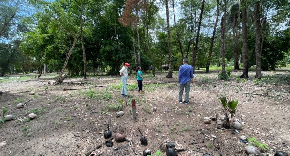 For sale land in Mueang Trat, Trat