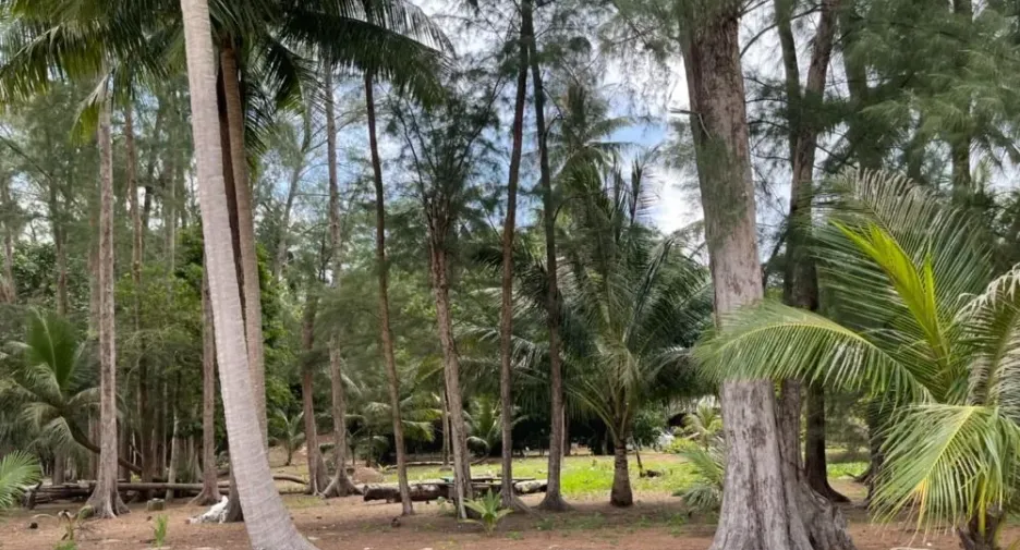 For sale land in Mueang Trat, Trat