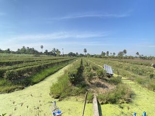 À vendre terrain à Nakhon Chai Si, Nakhon Pathom