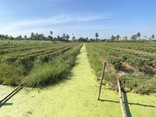 À vendre terrain à Nakhon Chai Si, Nakhon Pathom