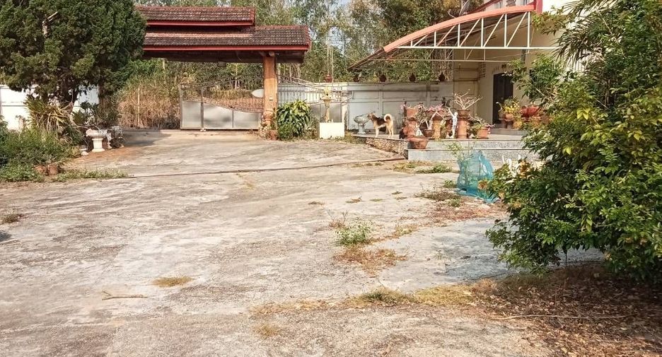For sale 4 bedrooms house in Wiang Pa Pao, Chiang Rai