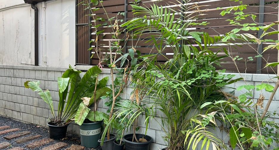 ขาย 4 ห้องนอน บ้านเดี่ยว ใน บางพลี, สมุทรปราการ
