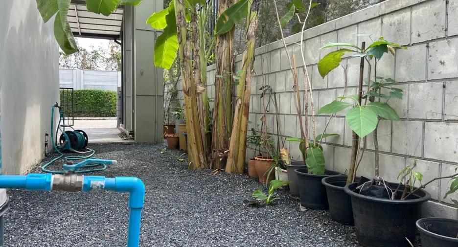 ขาย 4 ห้องนอน บ้านเดี่ยว ใน บางพลี, สมุทรปราการ