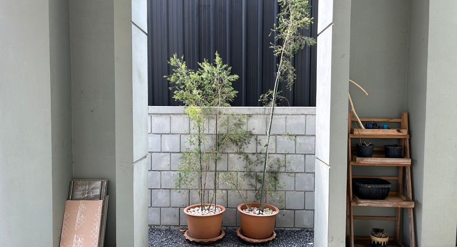 ขาย 4 ห้องนอน บ้านเดี่ยว ใน บางพลี, สมุทรปราการ