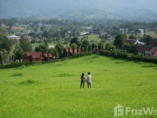 出售 土地 在 Khao Kho, Phetchabun