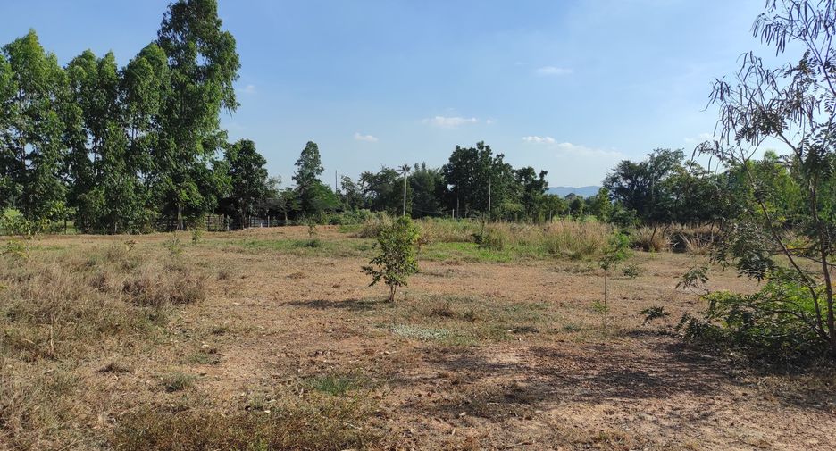 For sale land in Pak Tho, Ratchaburi