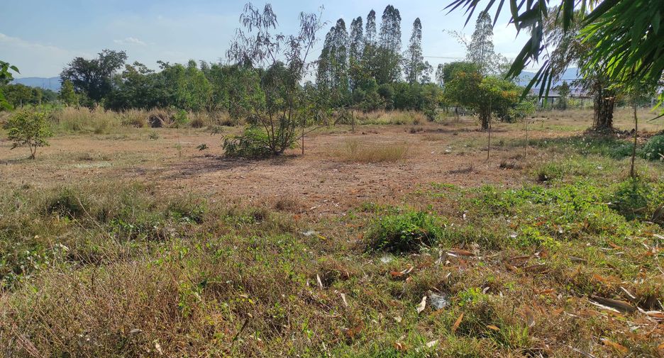 For sale land in Pak Tho, Ratchaburi