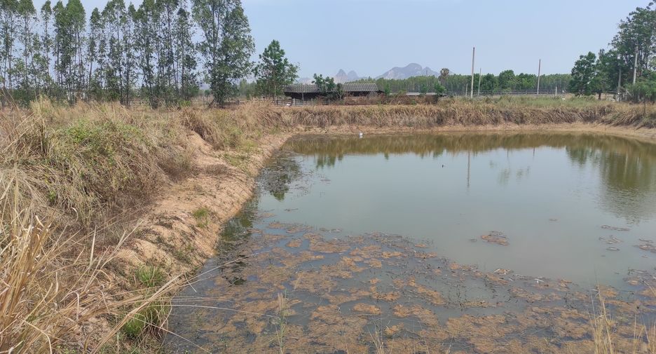 For sale land in Pak Tho, Ratchaburi