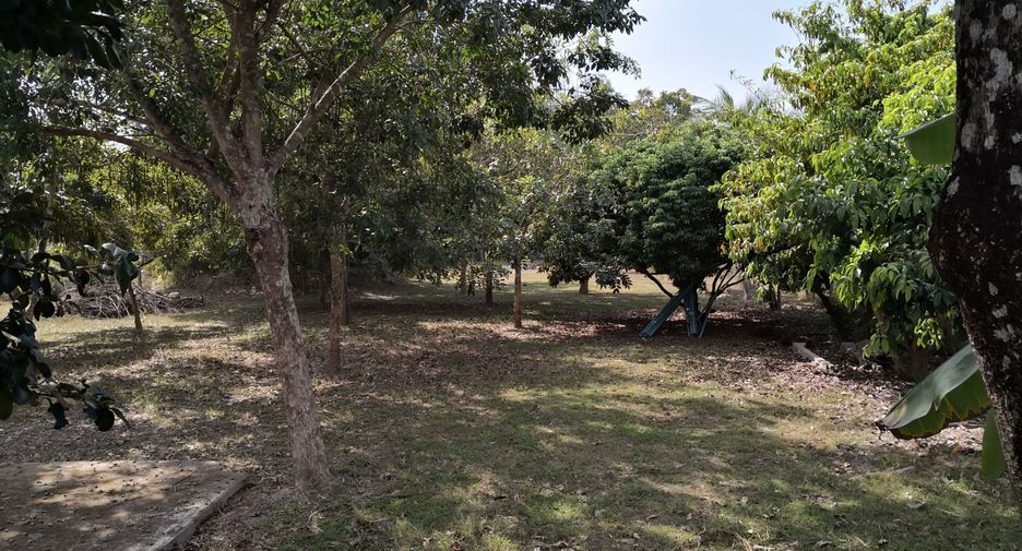 For sale 3 bedrooms house in Si Chiang Mai, Nong Khai