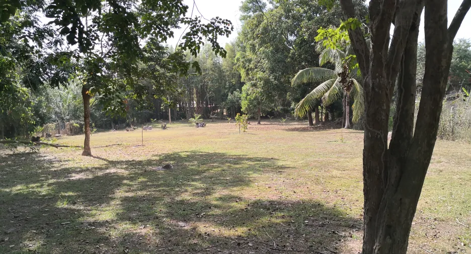 For sale 3 bedrooms house in Si Chiang Mai, Nong Khai