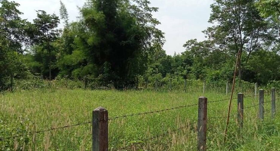 For sale land in Phu Kamyao, Phayao
