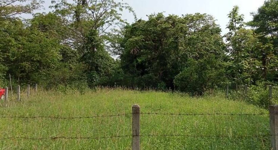 For sale land in Phu Kamyao, Phayao