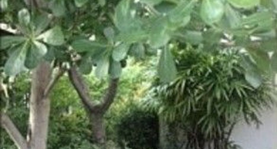 For sale and for rent 3 bedrooms townhouse in Mueang Nonthaburi, Nonthaburi