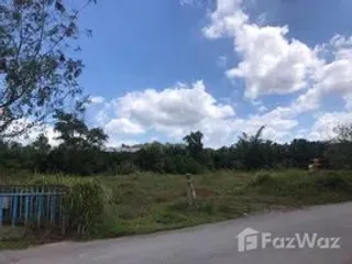 Продажа Участок в Mueang Surat Thani, Сураттани