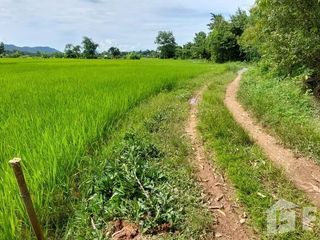 Продажа Участок в Muang Nan, Nan