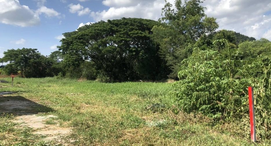 For sale land in Mueang Lop Buri, Lopburi
