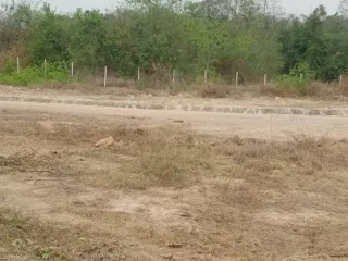 Grundstück zum Kauf in Mueang Lampang, Lampang