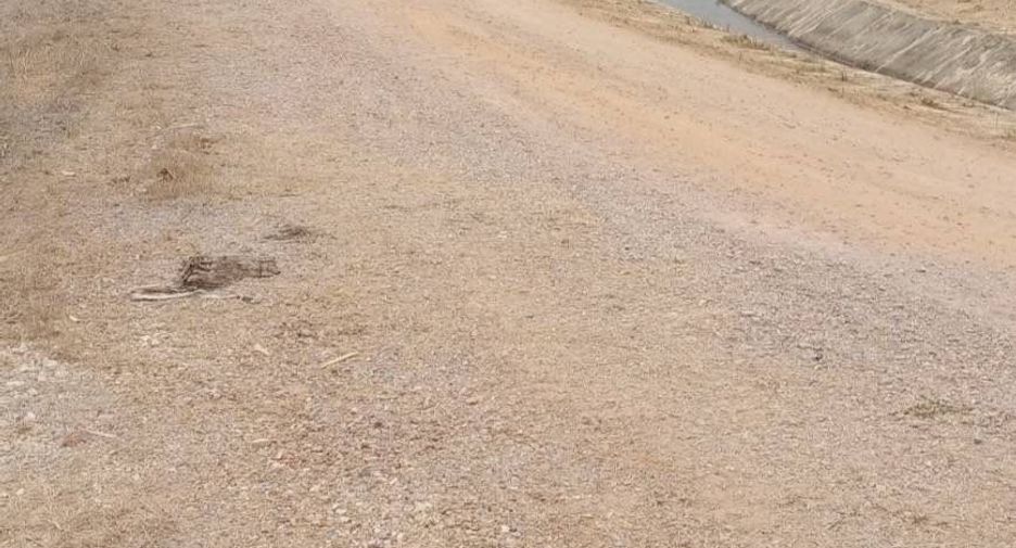 For sale land in Mueang Lampang, Lampang