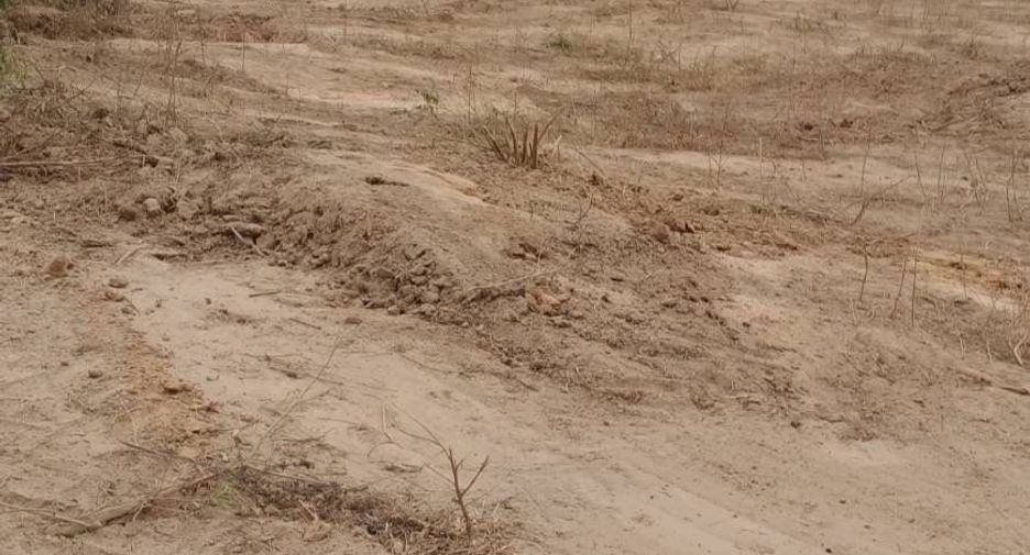 For sale land in Mueang Lampang, Lampang