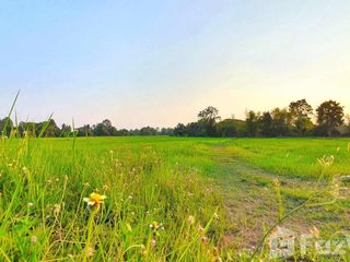 Продажа Участок в Mueang Kalasin, Kalasin