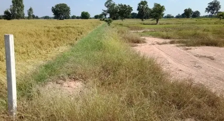 For sale land in Khok Pho, Khon Kaen