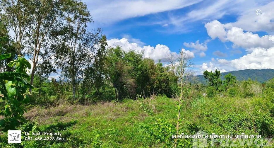 For sale land in Chiang Khong, Chiang Rai