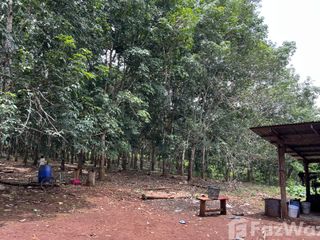 ขาย ที่ดิน ใน ทองผาภูมิ, กาญจนบุรี