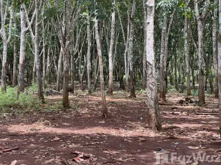 ขาย ที่ดิน ใน ทองผาภูมิ, กาญจนบุรี