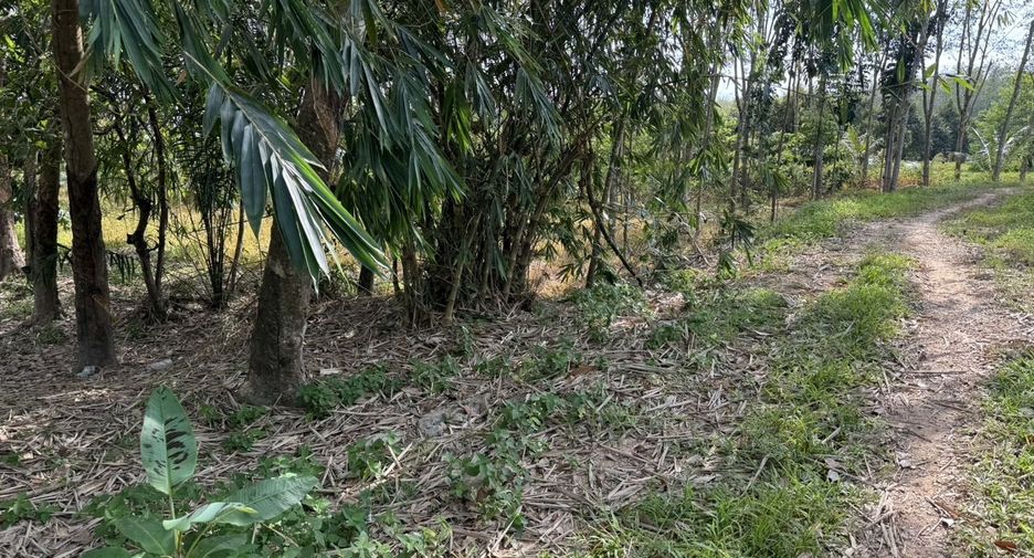 Продажа Участок в Tha Sala, Nakhon Si Thammarat