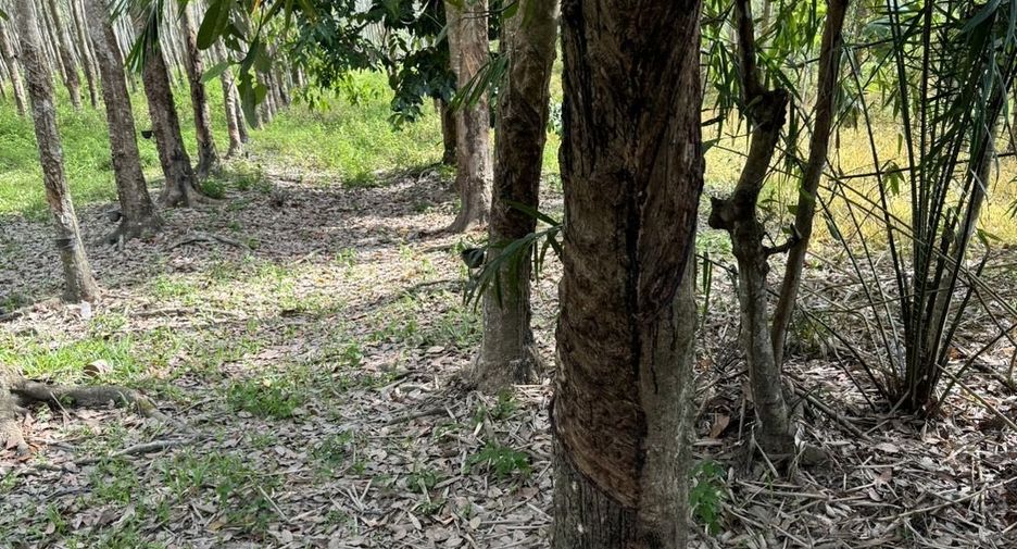 Продажа Участок в Tha Sala, Nakhon Si Thammarat