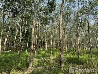 For sale land in Tha Sala, Nakhon Si Thammarat