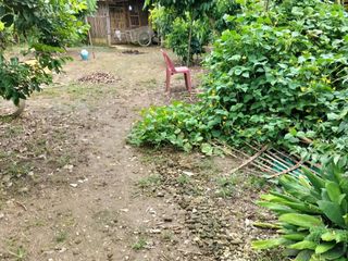 出售 土地 在 Fang, Chiang Mai