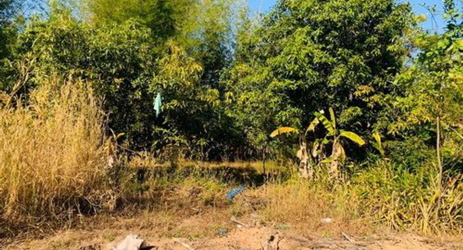For sale land in Sawang Daen Din, Sakon Nakhon