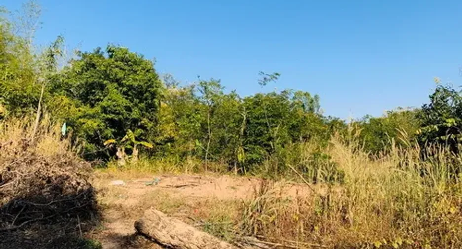 For sale land in Sawang Daen Din, Sakon Nakhon