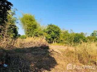 For sale land in Sawang Daen Din, Sakon Nakhon