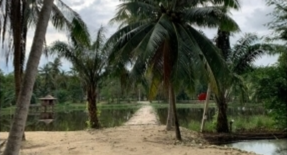 Terreno en venta en Tha Sala, Nakhon Si Thammarat