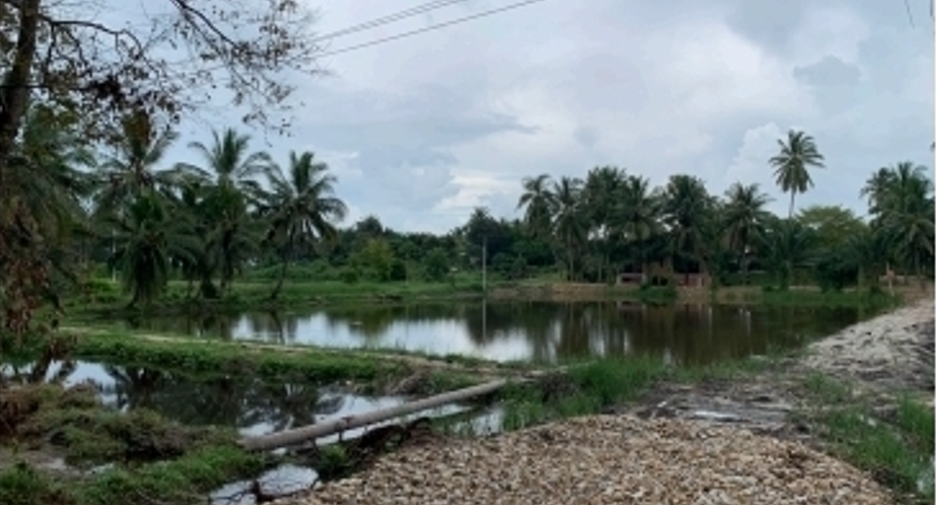 Terreno en venta en Tha Sala, Nakhon Si Thammarat