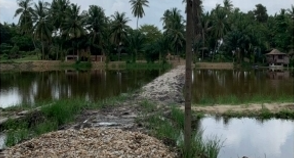 Terreno en venta en Tha Sala, Nakhon Si Thammarat