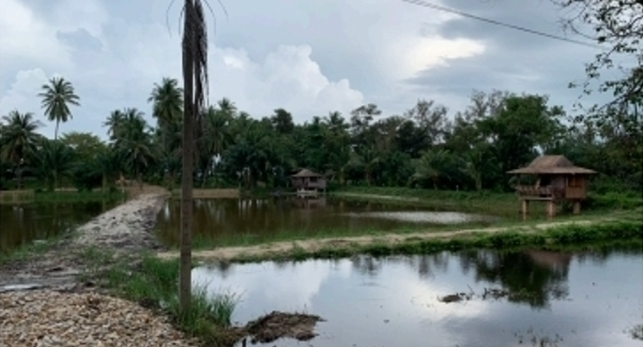 Terreno en venta en Tha Sala, Nakhon Si Thammarat