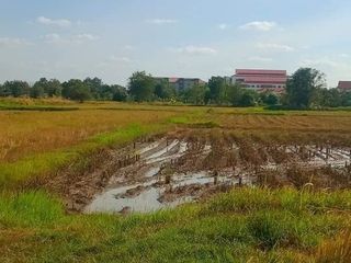 For sale land in Mueang Chaiyaphum, Chaiyaphum