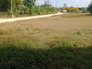 For sale land in Mueang Chaiyaphum, Chaiyaphum