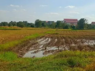 À vendre terrain à Mueang Chaiyaphum, Chaiyaphum