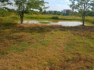 For sale land in Mueang Chaiyaphum, Chaiyaphum