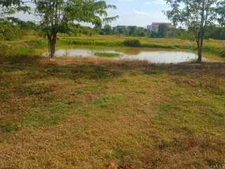 For sale land in Mueang Chaiyaphum, Chaiyaphum