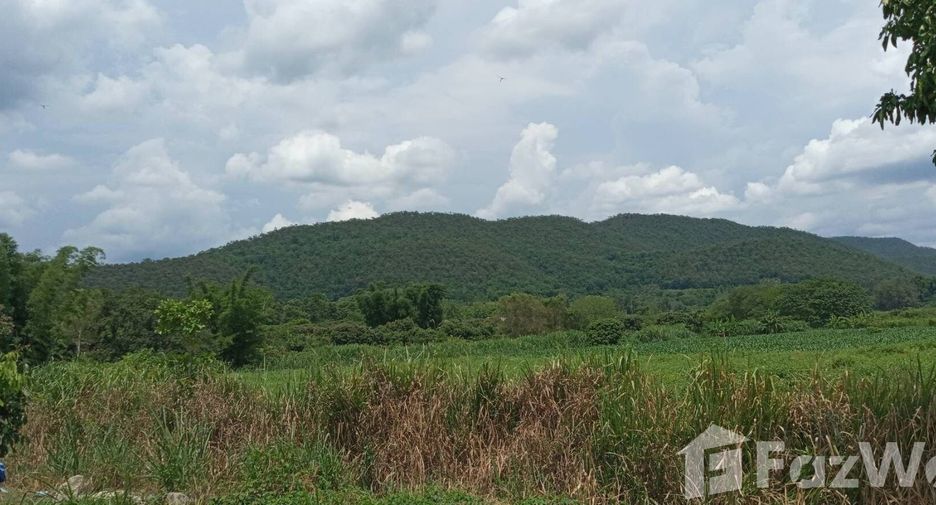 For sale land in Chiang Dao, Chiang Mai