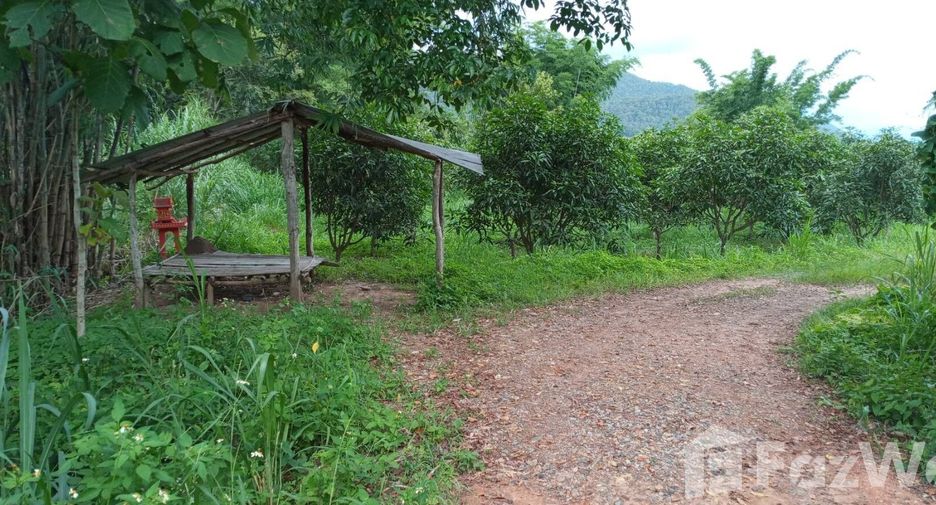 For sale land in Chiang Dao, Chiang Mai