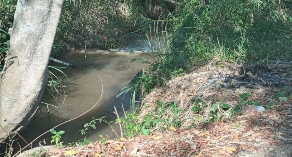 For sale land in Chiang Dao, Chiang Mai