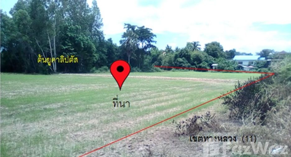 For sale land in Mueang Phitsanulok, Phitsanulok