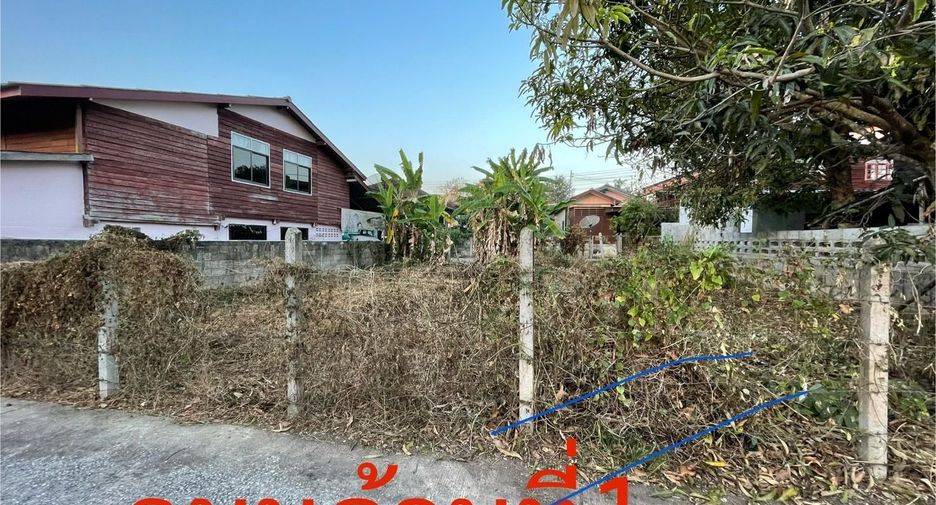 For sale land in Chiang Khong, Chiang Rai